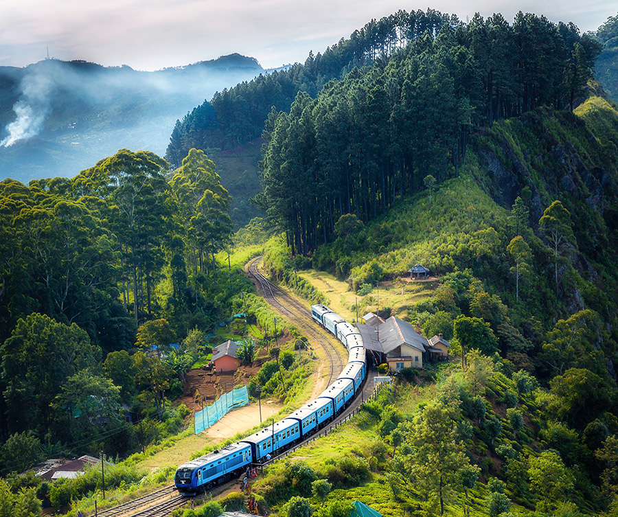 A sky view of a blue colour train that runs on a railway through a verdant surrounding