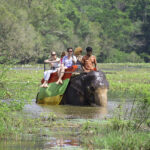 An elephant crossing a lake carrying a group of tourists, showcasing the beauty of the amazing tourist industry of Sri Lanka.