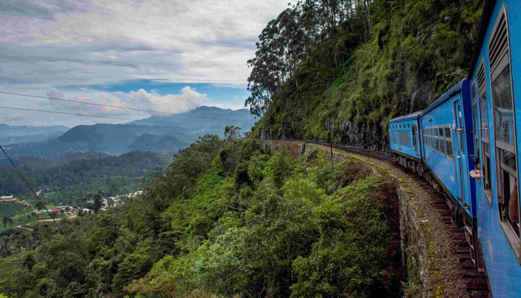 A blue train travelling through the greenery