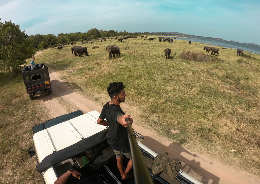A boy with a selfie stick standing in a safari jeep looking at the elephants on a lawn