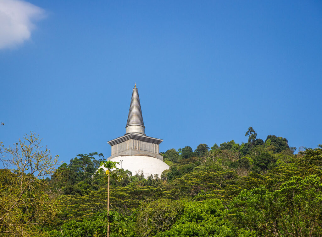 A far away white stupa situated amidst the greenery