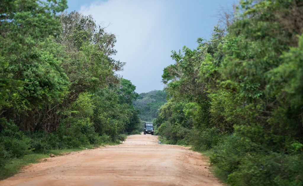 A jeep on a dusty road that falls through the greenery