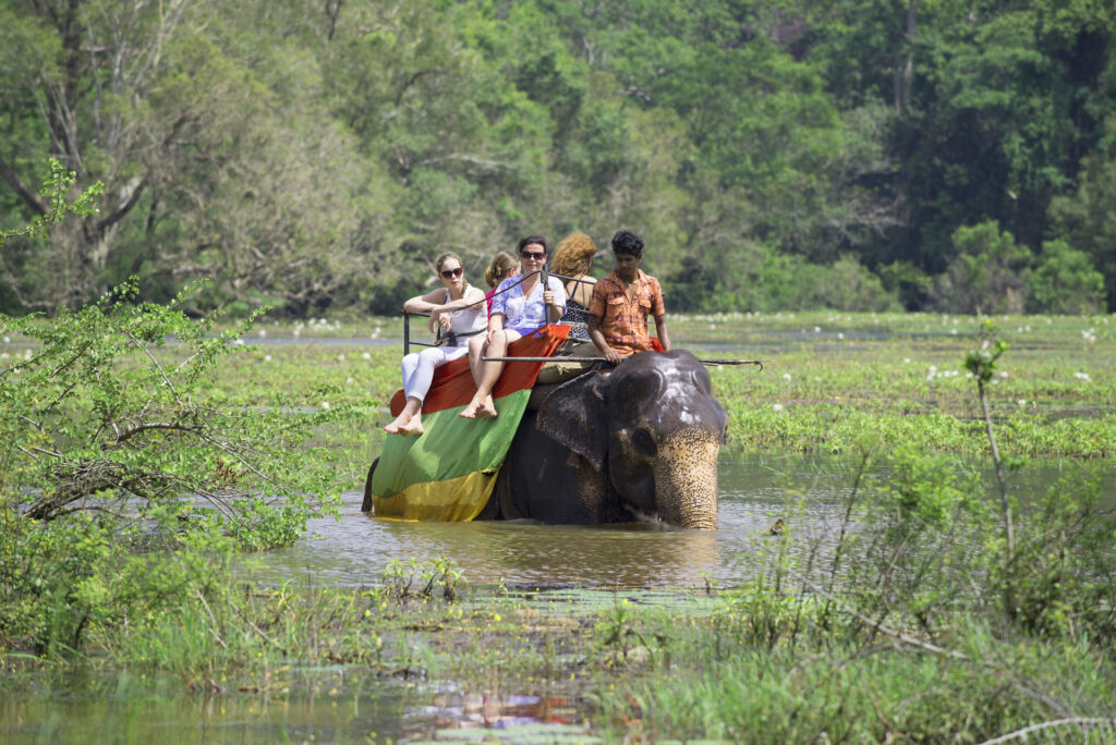 An elephant crossing a lake carrying a group of tourists, showcasing the beauty of the amazing tourist industry of Sri Lanka