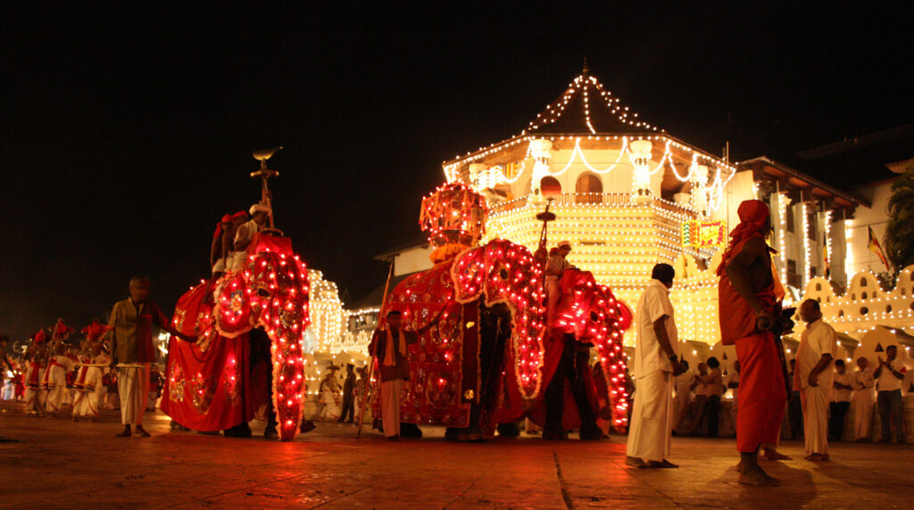 Three tuskers clad in illuminated red costumes standing in front of the illuminated white building complex
