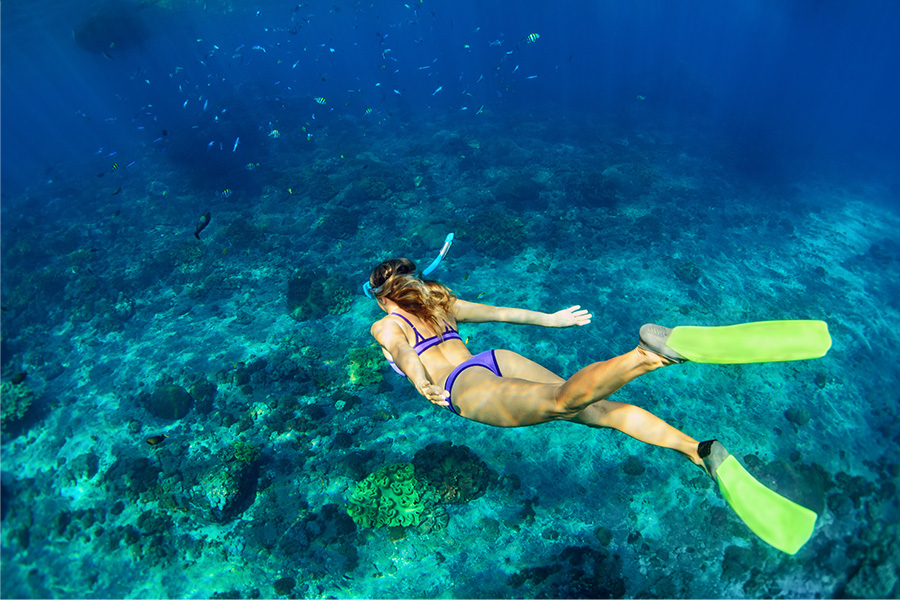 A Girl in Snorkeling Mask Dive into an Amazing World Underwater exhibiting the delight of Snorkeling in Sri Lanka.