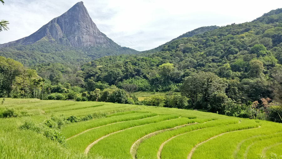 eco tourism in sri lanka