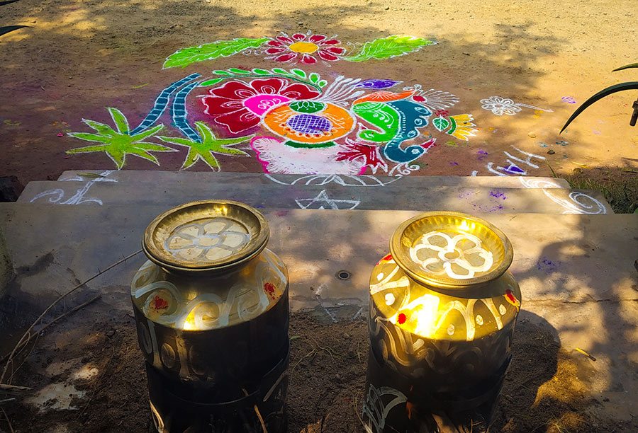 The gold pots and Rangoli signifying the Thai Pongal Celebrations, the Fantastic Tamil Festival of the Harvest!