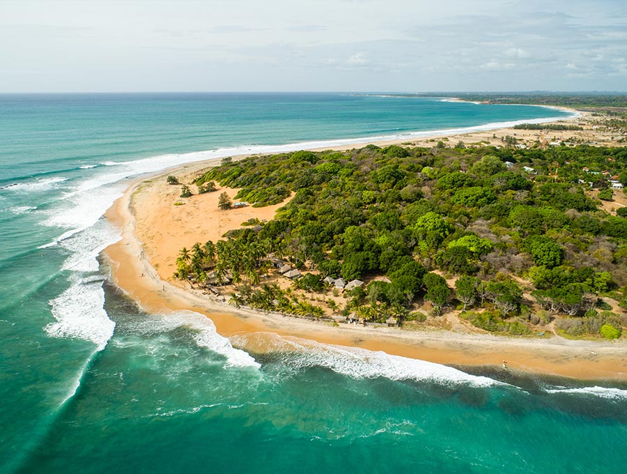 The charming coast with the ocean, shore, and the greenery at Arugam Bay