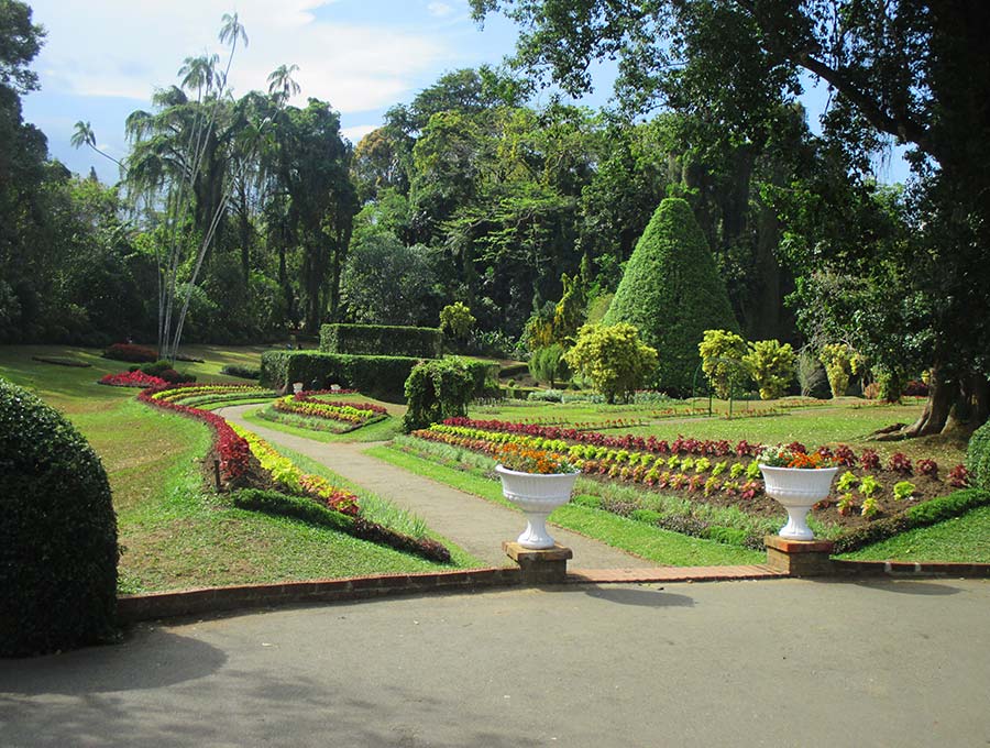 A beautifully landscaped area at a botanical garden, one of the best places to visit with children in Sri Lanka