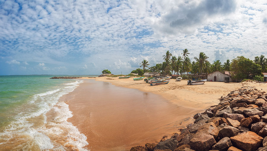 The beach with the boats, coconut trees and the ocean of Kalpitiya, the Wonderful coastal town of Sri Lanka.