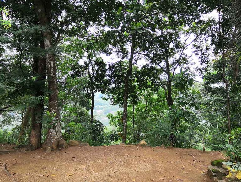 Kurulu Kele | Travel Destination Sri Lanka