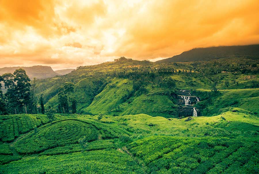 The verdant mountainous surroundings with a waterfall in Nuwara Eliya, One of the Best Places for Nature Photography in Sri Lanka