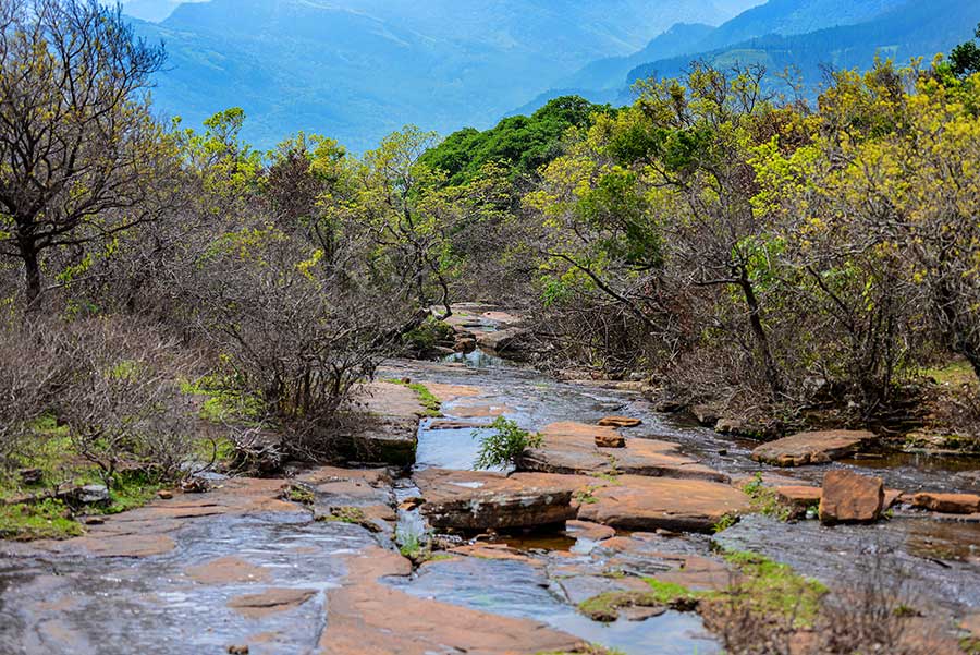 A stream flowing through the rocks at Riverston, one of the uncommon places to visit in Sri Lanka