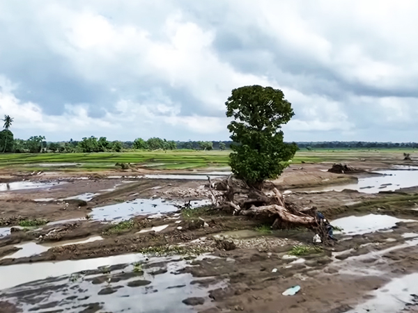 Flooded paddy fields and irrigation tanks affecting rural agriculture in Sri Lanka.