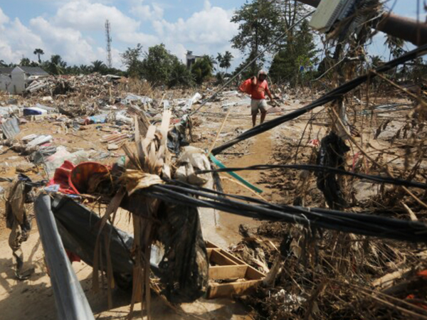 Fallen power lines and trees causing electricity outages after Cyclone Ditwah.